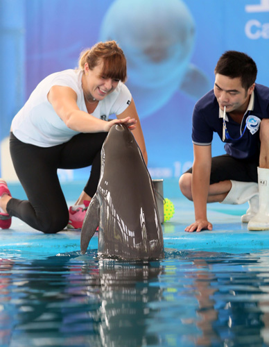 人工智能等 人工智能等