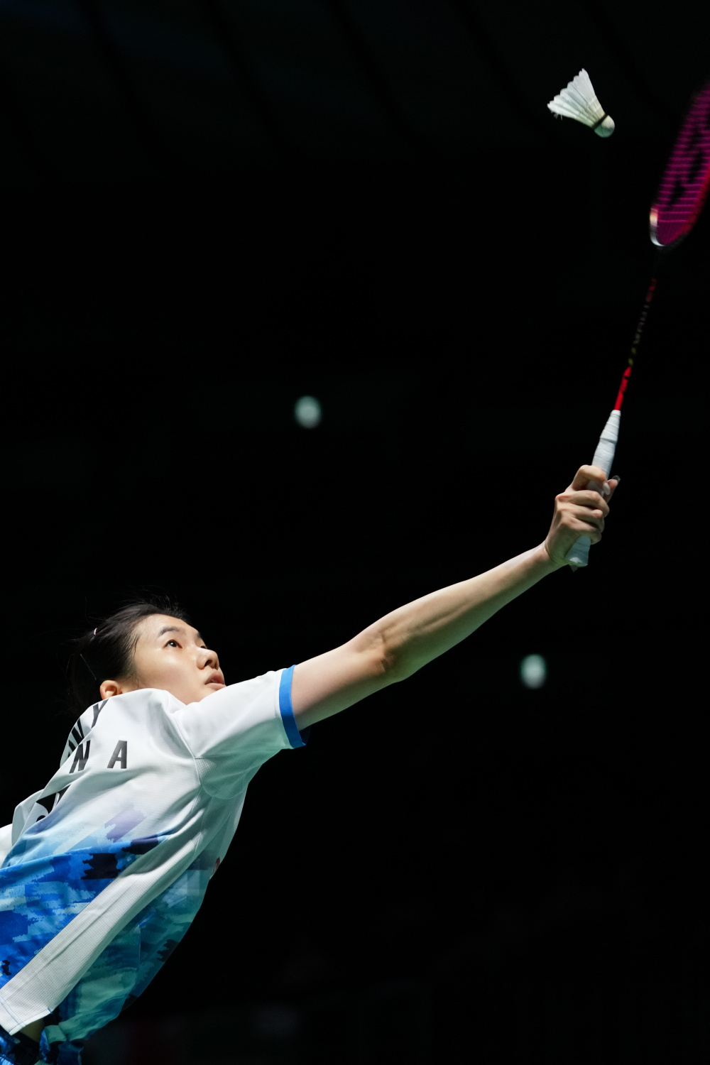 的发展铺平 的发展铺平